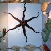 nantucket2013-brittlestarfish