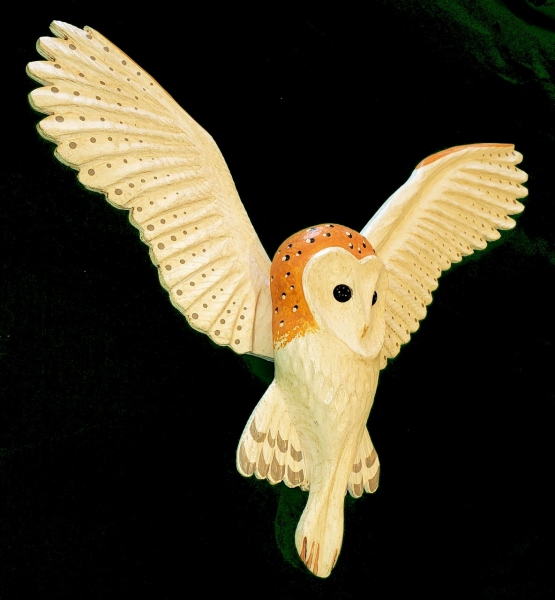 Flying Barn Owl - side