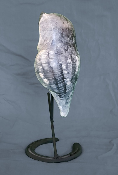 Gray Screech Owl - back
