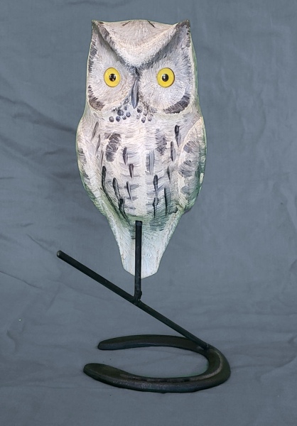 Gray Screech Owl- front